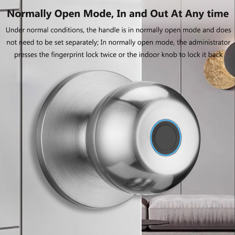 Tuya fechadura da porta inteli - Smart Home Lock avaliação e preço
