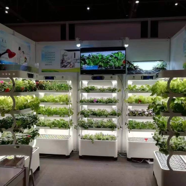 Sistema Inteligente de Cultivo - Smart Home System avaliação e preço