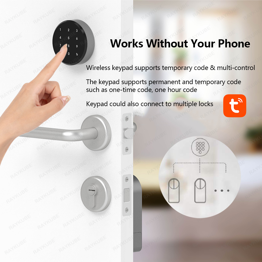 Raykube a1 pro tuya bel conjun - Smart Home Lock avaliação e preço