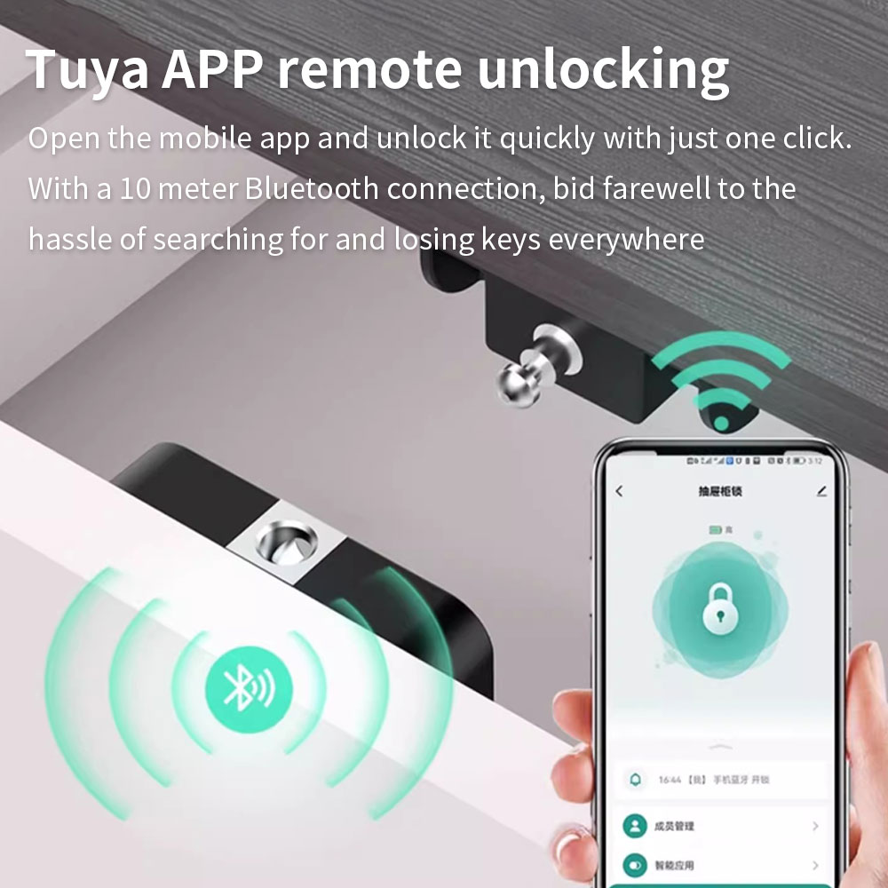 Tuya armário escondido bloquei - Smart Home Lock avaliação e preço